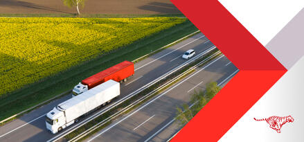 Two semi trucks driving down a quiet highway next with a field on on side and trees on the other. There are a few other trucks ans cars in the distance.