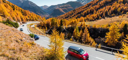 Cars driving on a winding road surrounded by autumn-colored trees