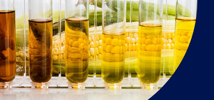 A close-up of five glass test tubes filled with ethanol fuel. Each is a different color ranging from brown and caramel to light yellow. There are ears of corn visible through and behind the test tubes.