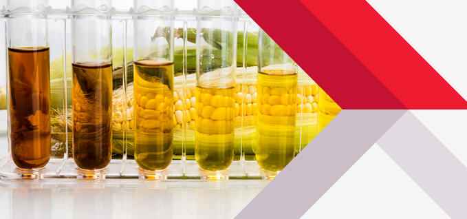 A close-up of five glass test tubes filled with ethanol fuel. Each is a different color ranging from brown and caramel to light yellow. There are ears of corn visible through and behind the test tubes.