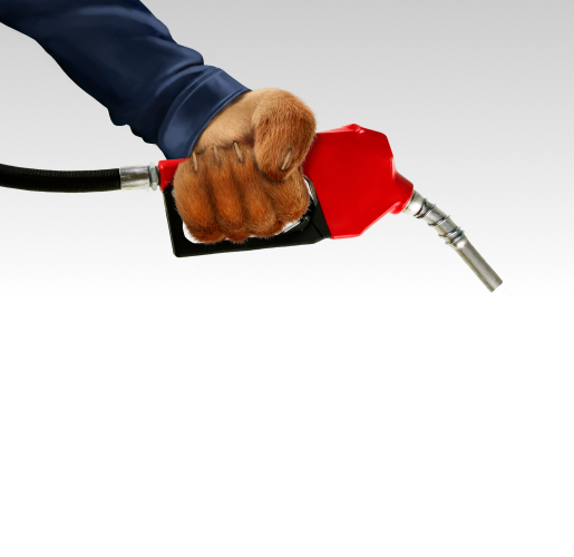 A tiger's hand holding a fuel nozzle