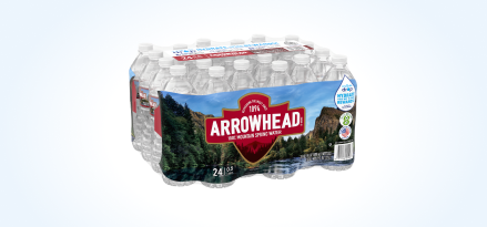 24-pack of 16.9-oz. Arrowhead® Mountain Spring Water bottles.
