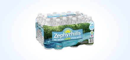 24-pack of 16.9-oz. Zephyrhills® Florida Spring Water bottles.